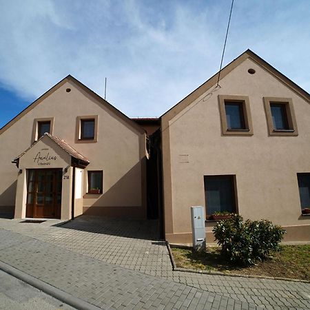 Penzionu Aurelius U Bednaru Pavlov Exterior photo